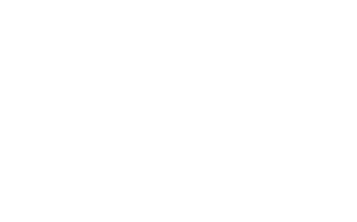 City and Guides